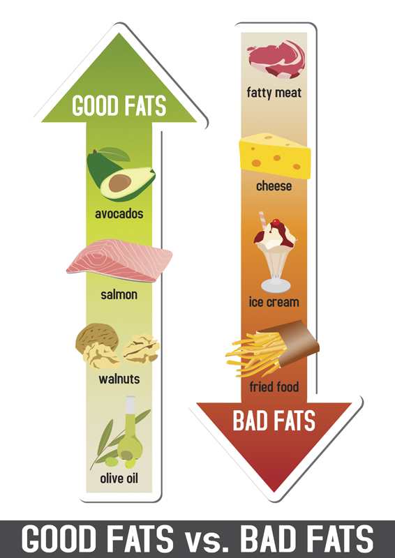 Understanding the role of fat in the diet TheFuss.co.uk