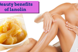 Beauty benefits of lanolin TheFuss.co.uk