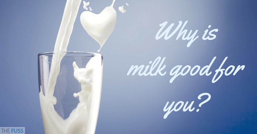 Why is milk good for you TheFuss.co.uk