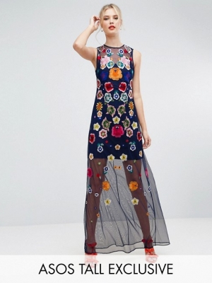 ASOS TALL Embroidered Mesh Illusion Maxi Dress