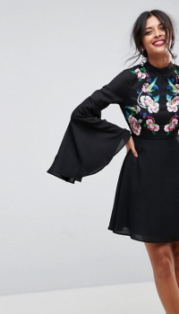 ASOS Dramatic Sleeve Embroidered Mini Dress