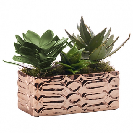 Peony Artificial Succulents In Copper Tray