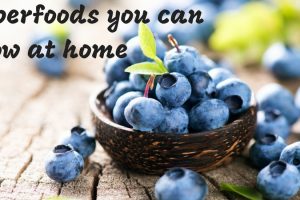 Superfoods You Can Grow At Home TheFuss.co.uk
